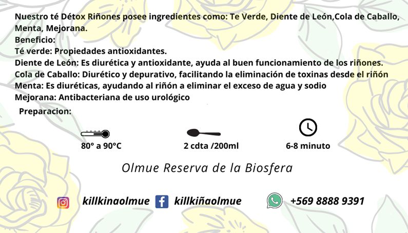 Detox riñón