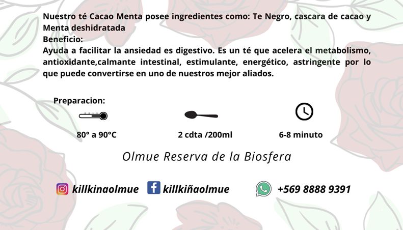 Cacao menta