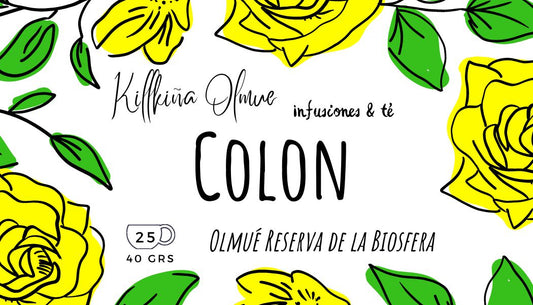 Colon