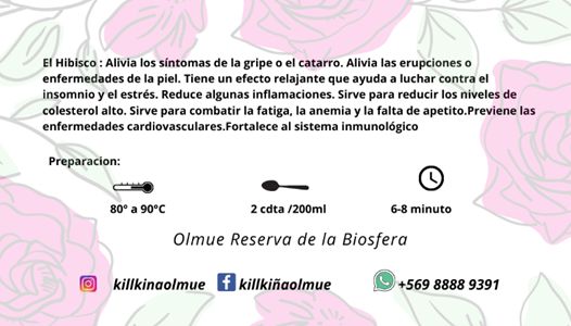 Hibisco